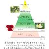 嘉娜寶 肌膚調和霜 180ml