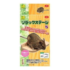 狂野放鬆舞台 S 號 1 件