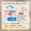 Kose Cosmeport Grace One 抗皺護理保濕修復凝膠乳霜 EX