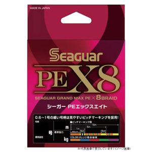 Seaguar PE X8 300m No. 2