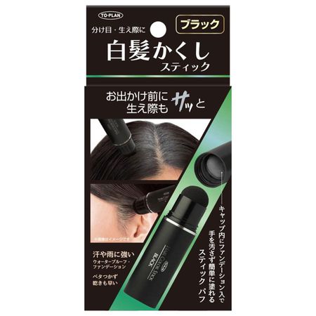 東京企劃販賣 TOPLAN 白髮遮瑕棒 4g