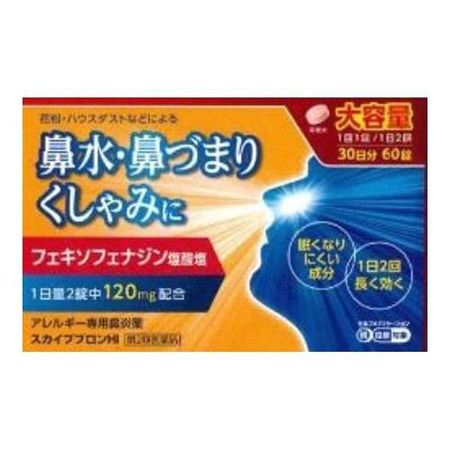 【第２類医薬品】スカイブブロンＨＩ 60錠