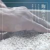 Cosme Decorte 白色学家 Neo Genesis 亮白浓缩液 40 毫升