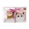 Cookie and tea set chocolate with message