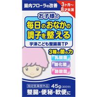 宇津こども整腸薬TP 45g