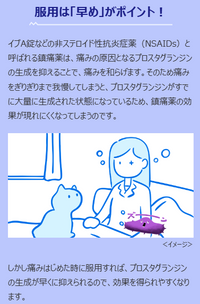 【6個セット】【指定第2類医薬品】イブA 48錠