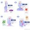 [Set of 12] [Designated 2nd-Class OTC Drug] EVE A 48 tablets