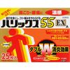 【第3類医薬品】ハリックス55EX温感A 25枚