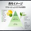 AG Deo 24 Men 药用男士身体清洁液 清爽柑橘香味 490毫升