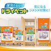 S.T. Dry Pet for walk-in closets, 2 tatami mats, 3 sheets