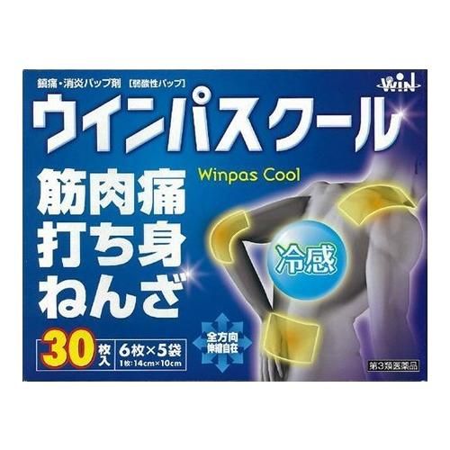 【第3類医薬品】 帝國製薬 ウインパスクール 30枚