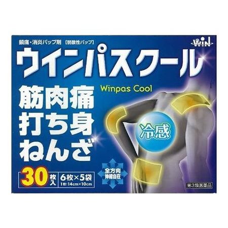 【第3類医薬品】 帝國製薬 ウインパスクール 30枚