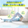 Pip Slim Walk Long Beautiful Legs Summer Limited Cool Above Knee Length 1 Pair Pale Blue