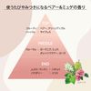 SS Biolis Pure Retouch Payatoya 洗髮精補充裝 340mL