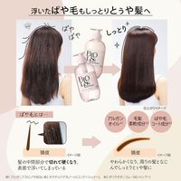 SS Biolis Pure Retouch Payatoya 護髮素 480mL
