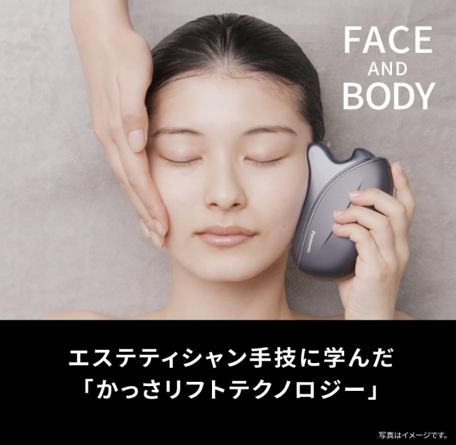 Panasonic Kassa EH-SP86-K ｜ DOKODEMO