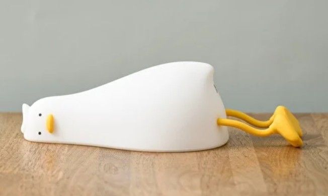 BRUNO The Easy Duck Light
