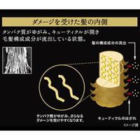 合併利華 Lux Biofusion 損傷防禦活力修復油 50ml