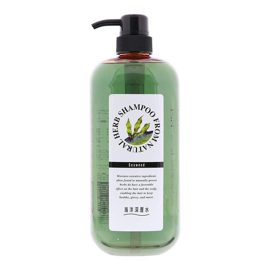 준 코스메틱 내츄럴 허브 샴푸 SW 1000ml