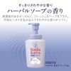 hadakara 泡で出てくる 薬用デオドラントボディソープハーバルソープの香り 本体 550ml
