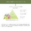 Taiyo Yushi Pax Oly 护发素香辣暮光香型补充装 400ml