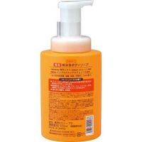 구마노 유지 사계절 약용 감시 거품 바디 소프 본체 500ml