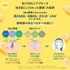 쿠마노 유지 cyclear 비타민 C 효소 클렌징 오일 400ml