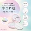 Ulmina Plus 清新亮泽肌肤棱镜粉 11g