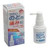 [3rd-Class OTC Drug] Kaigen Pharma Throat Care Spray S 30ml