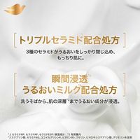 unilever 리 바다브 바디 Dove/도브 프리미엄 모이스처 케어 펌프