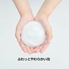 Iwatani Industry Arara Medicated Foam Hand Soap