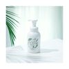 Iwatani Industry Arara Medicated Foam Hand Soap