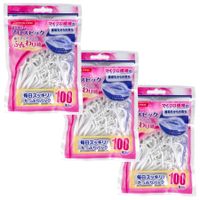 デンタルプロ フレッシュ フロスピック