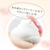 Atopita Moisturizing Foam Soap for the Whole Body, Refill 350ml