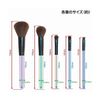 SKATER Makeup Brush Set Winnie the Pooh MUB5S