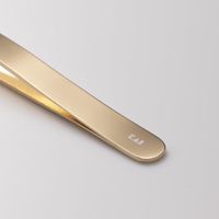 KAI Razors HC3905 Givglow TWEEZERS CHAMPAGNE GOLD