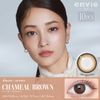 envie 1day [Colored Contact Lenses/One-Day/With or Without Prescription/10 Lenses]