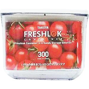 Takeya Chemical Industry Fresh Lock Container SS 300ml
