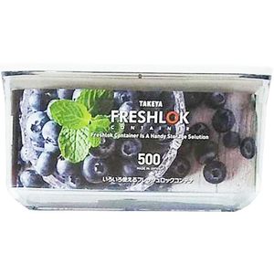 Takeya Chemical Industry Fresh Lock Container S 500ml