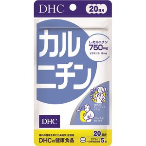DHC 카르니틴 20일 100정