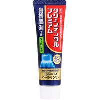 クリーンデンタルプレミアム クールタイプ 100g