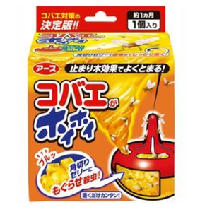 小型蒼蠅陷阱，小型蒼蠅控制陷阱，1 件