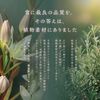 야나기야 BOTANICAL 약용 육모 에센스 무향료