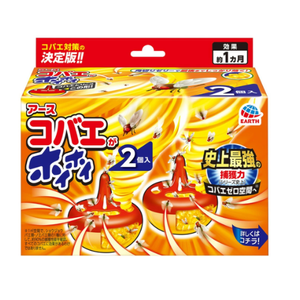 兩個小型捕蠅器，用來消滅小蒼蠅