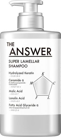 THE ANSWER 超级层状洗发水，按压泵装，400毫升，佛手柑和瑞香香型，蕴含5美发必备成分，改善发质，适用于卷发，无硅配方，花香