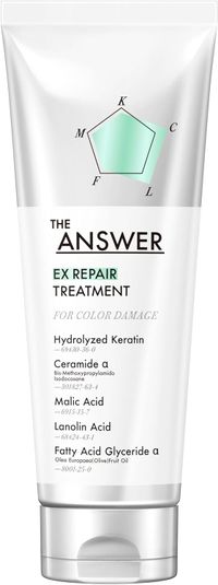 THE ANSWER EXリペアトリートメント FOR COLOR DAMAGE（うるおい なめらか）カラーダメージ用 220g