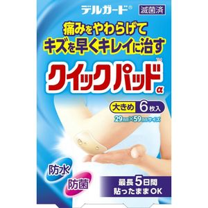 DelGuard Quick Pads, Large, 6 Sheets