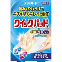 델 가드 퀵 패드 물 작업용 10 장