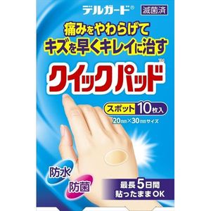 DelGuard Quick Pad Spot 10 sheets