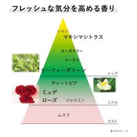 KANEBO 乳霜（第二天）40克